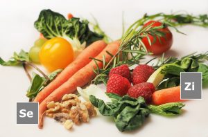 Dois minerais que podem ser mais difíceis de obter em quantidades suficientes numa dieta à base de plantas são o selénio e o zinco